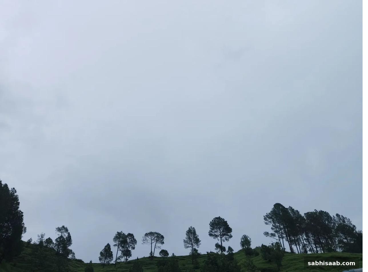 Pahadi dhaal par chir ke ped — zameen kharidne se pehle rasta aur simaa dekhna zaroori