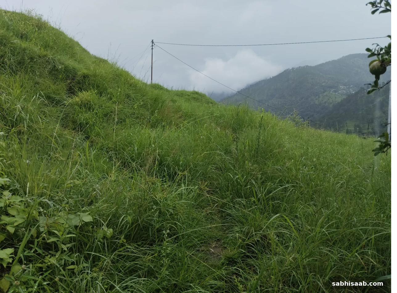Uttarakhand ke pahad par seedhi dhaar me katey hue khet, jinhe nali me naapa jaata hai